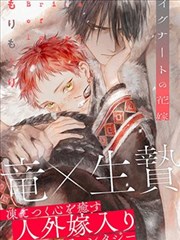 nn肉漫画之玫瑰与午夜封面